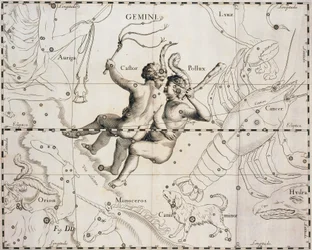 La constellation des Gémeaux, illustration du Firmamentum Sobiescianum sive Uranographia, par Johann Hevelius (1611-1687), Gdansk 1690