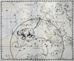 Petite Ourse, constellation boréale de la Petite Ourse, gravure de l