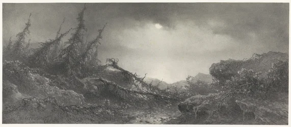 Après la tempête