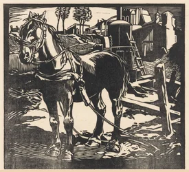 Cheval de charrette dételé