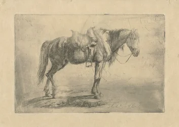 Cheval sellé vers la droite