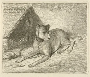 Chien enchaîné près d