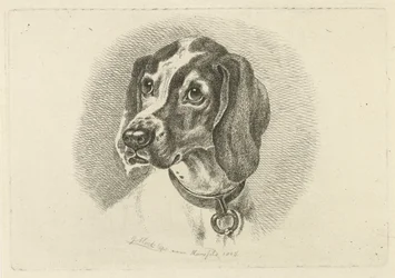 Tête de chien avec un collier avec anneau