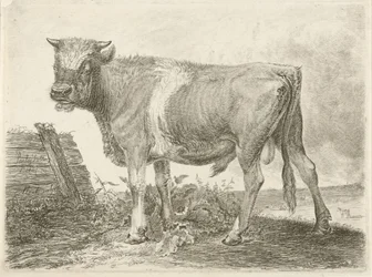 Taureau