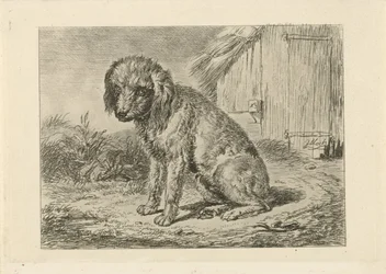 Chien assis près d