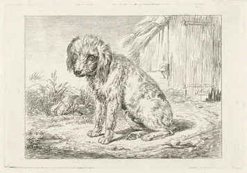 Chien assis près d