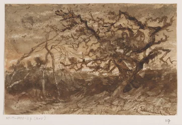 Arbre au coucher du soleil
