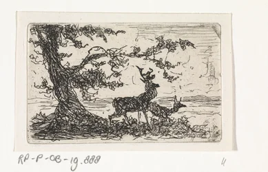 Deux cerfs sous un arbre