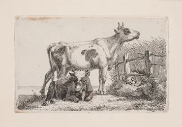 Une vache reposante et une vache debout
