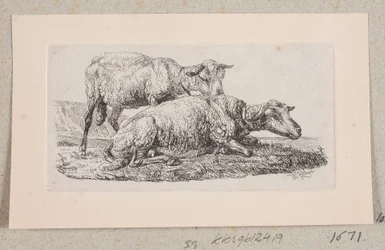 Deux moutons