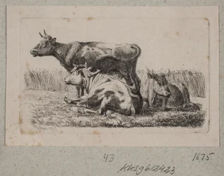 Trois vaches