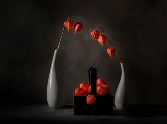 Des lanternes chinoises spectaculaires