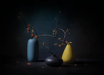 Nature morte élégante avec des branches