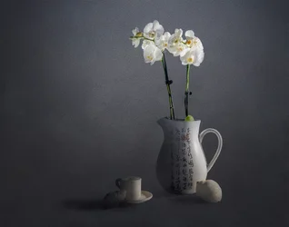 Nature morte élégante à l