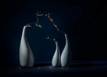 Vases élégants ornés de fleurs