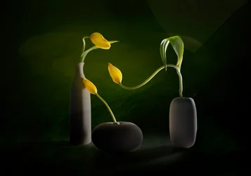 Vases à motifs floraux verts et jaunes