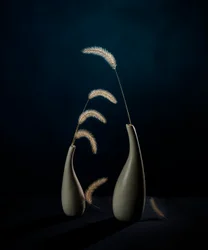 Vases botaniques Moody