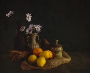 Fleurs et fruits de Moody