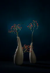 Vases modernes « Red Berries »
