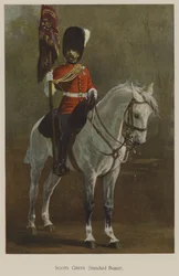 Scots Greys, porte-drapeau