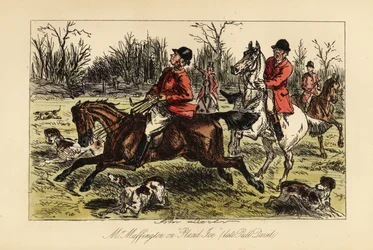 Chasseur anglais traîné au milieu des chiens par son cheval fougueux