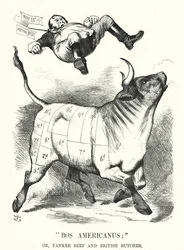 Caricature de Punch : Bos Americanus ; ou, Bœuf Yankee et Boucher Britannique - avantages attendus pour les consommateurs de l