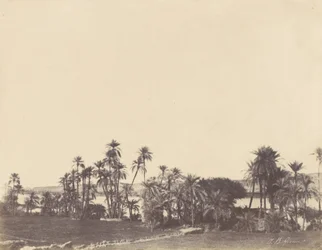 Bords du Nil, Kalabsché