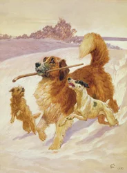 Trois chiens jouant dans la neige, 1881