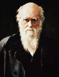 Portrait du naturaliste anglais Charles Darwin, détail