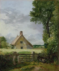 Un cottage dans un champ de maïs