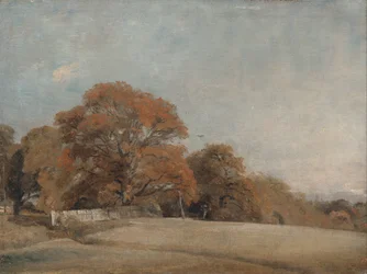 Un paysage d