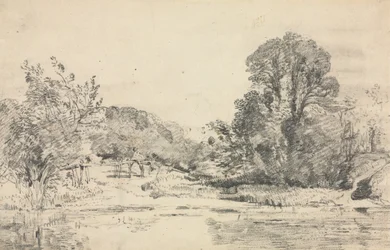 Paysage avec arbres entourant un étang