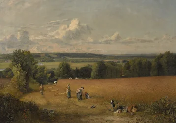 Le Champ de Blé