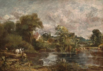 Le cheval blanc