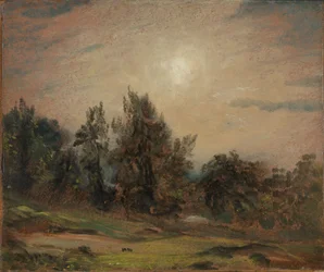Arbres sur Hampstead Heath