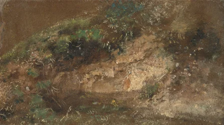 Sous-bois