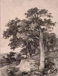 À Colney, pub. par J. & W. Freeman