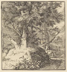 Arbre sur un monticule