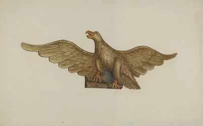 Aigle