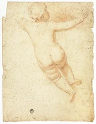 Putto de l