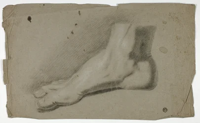 Pied droit