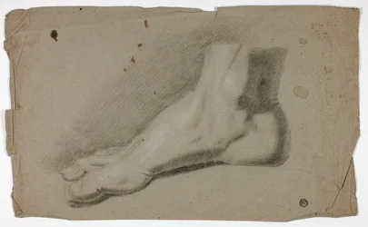 Pied droit