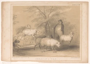Caricature avec des moutons britanniques (HB Sketches)