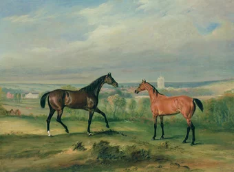 Les chasseurs favoris du comte Bathyany à Melton Mowbray