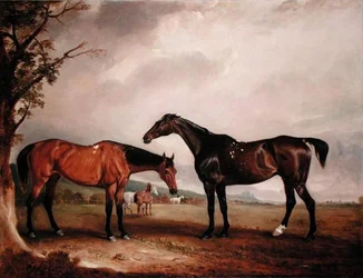 Longford Lass et le Juif