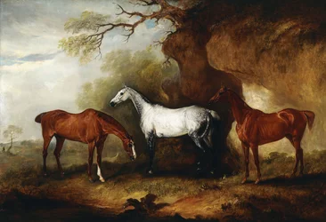 Trois chasseurs appartenant à Robert Myddelton-Biddulph