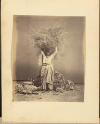 [Jeune paysanne indienne tenant des brindilles sur sa tête]