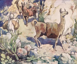 Alpagas sur un chemin de montagne, illustration de 