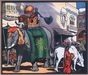 Éléphants