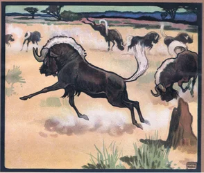 Gnou